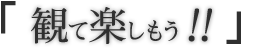 観て楽しもう！！